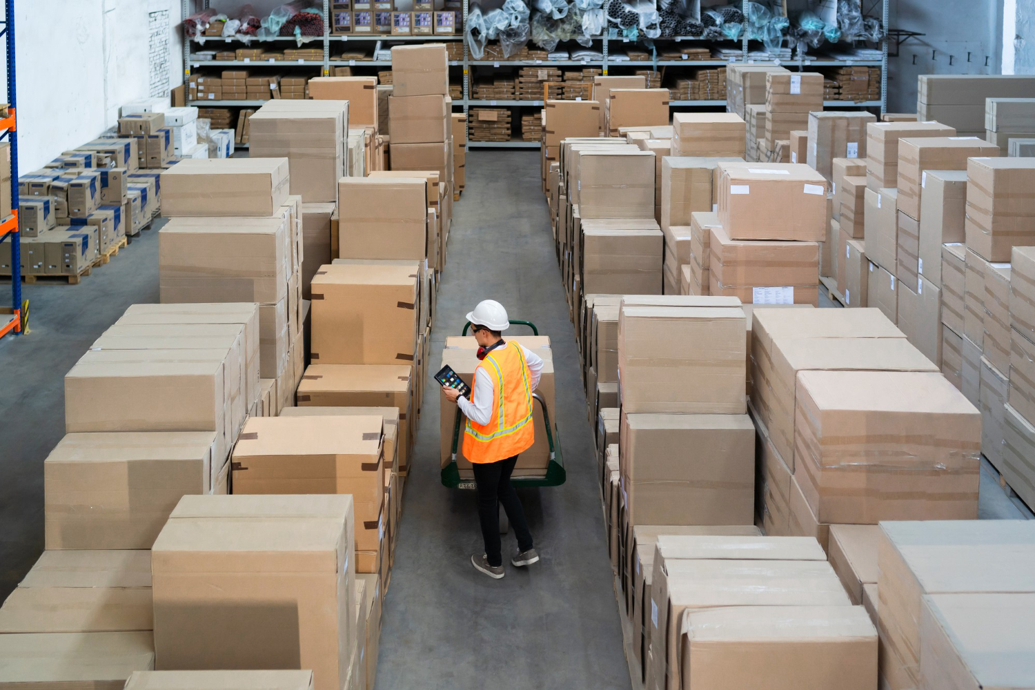 Supply Chain
